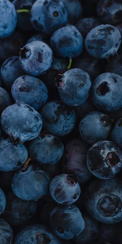 Close-up Photo of Blueberries